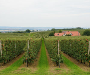 Zabostów Duży. Z czego słynie najniższy punkt Łódzkiego?