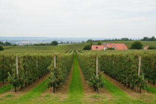 Zabostów Duży. Z czego słynie najniższy punkt Łódzkiego?