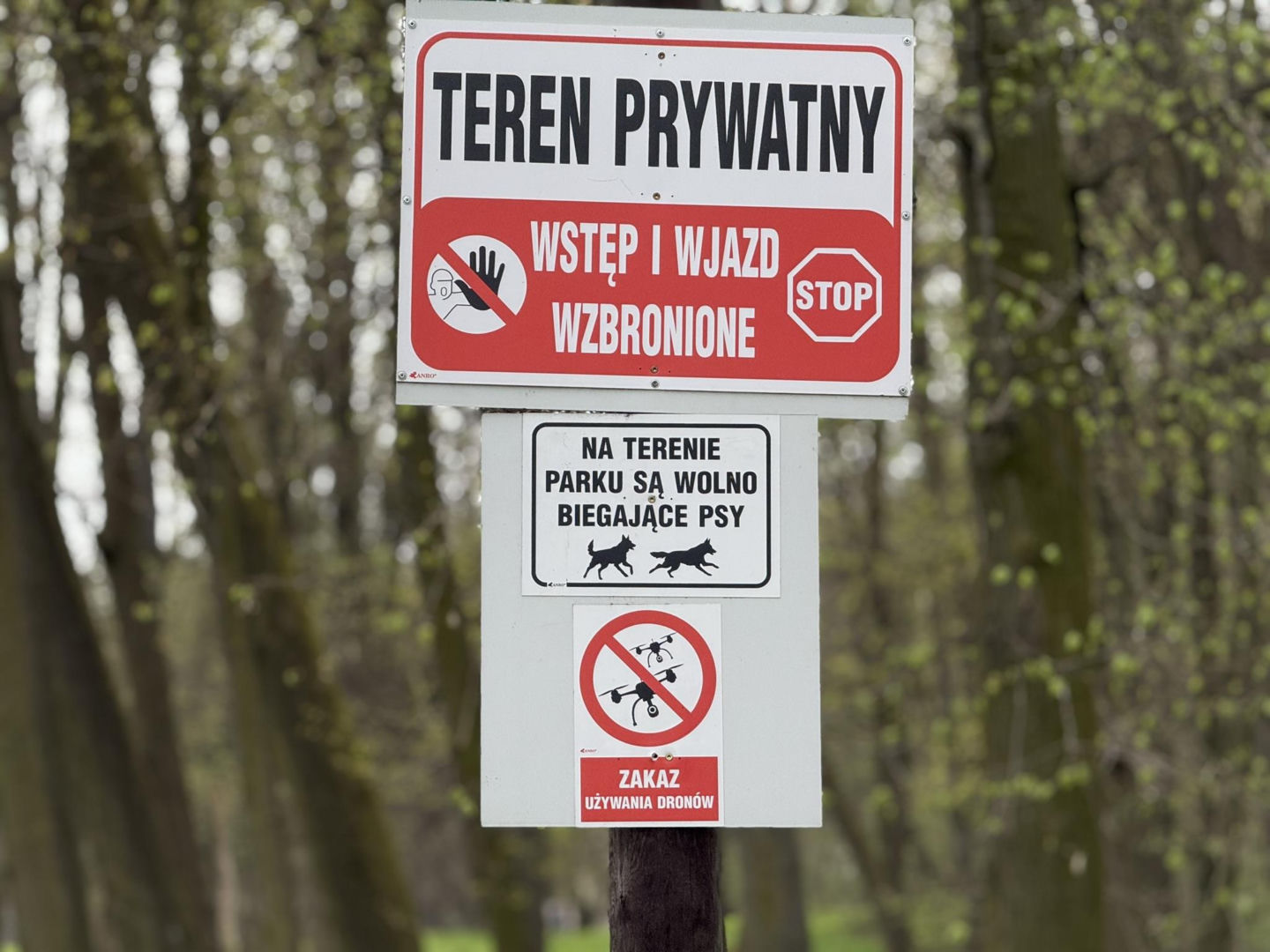 Pałac w Pilicy, wspaniała rezydencja która od dekad popada w ruinę