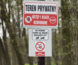 Pałac w Pilicy, wspaniała rezydencja która od dekad popada w ruinę