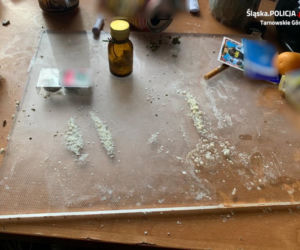 Tarnowskie Góry: Policjant znalazł w mieszkaniu 35-latka amunicję, narkotyki i plantację [ZDJĘCIA]