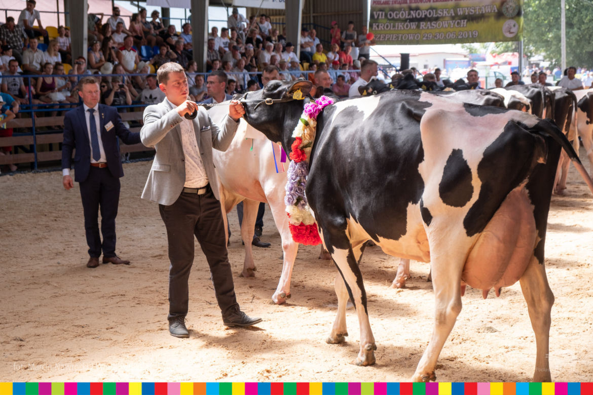 Targi rolnicze w Szepietowie 2019