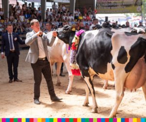 Targi rolnicze w Szepietowie 2019