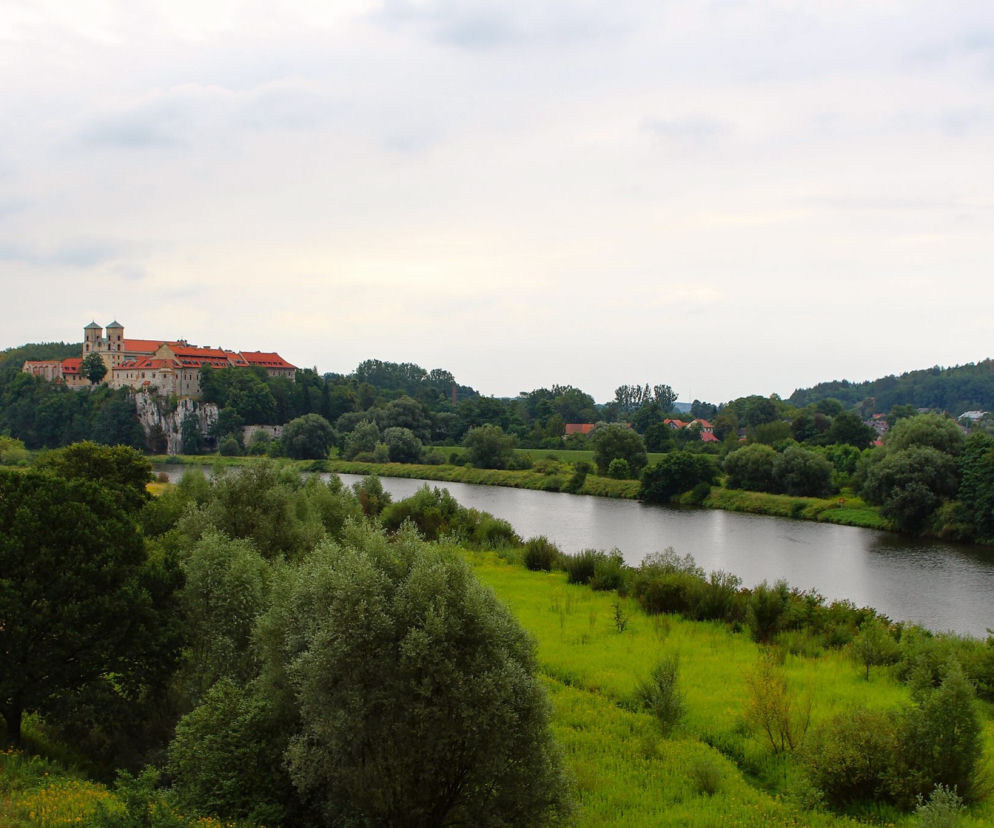Zdjęcie dnia