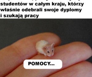 17 listopada. Dzień Studenta. Zobacz najśmieszniejsze MEMY!