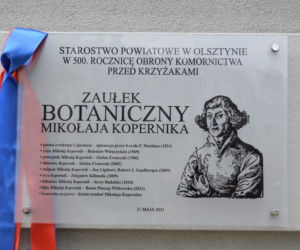 Olsztyn ma swoją palmę. Powstał Zaułek botaniczny Mikołaja Kopernika