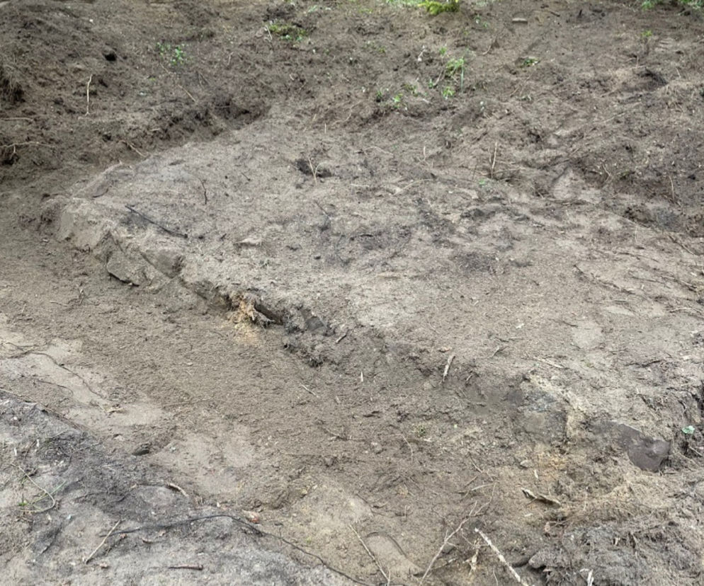 Pod Olsztynem leśnicy odsłonili zbiorowe mogiły sprzed ponad 100 lat