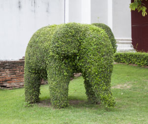 Topiary