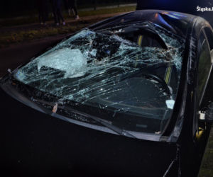 Mikołów: 20-latek rozbił mercedesa! W środku cztery osoby [ZDJĘCIA]
