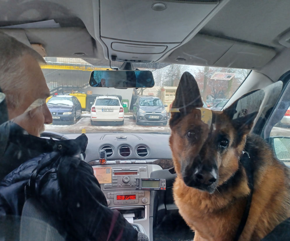 Pan Dariusz z Lajlą w taksówce