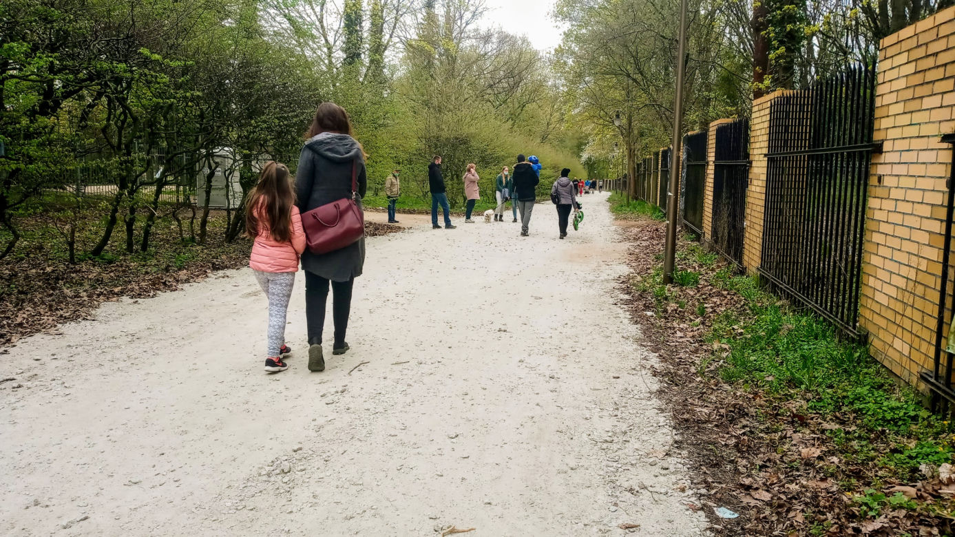 Aleja Fałata otwarta dla spacerowiczów