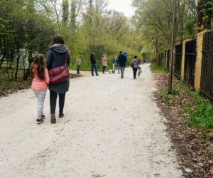 Aleja Fałata otwarta dla spacerowiczów