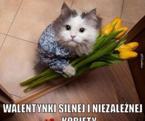 WALENTYNKI 2020 MEMY
