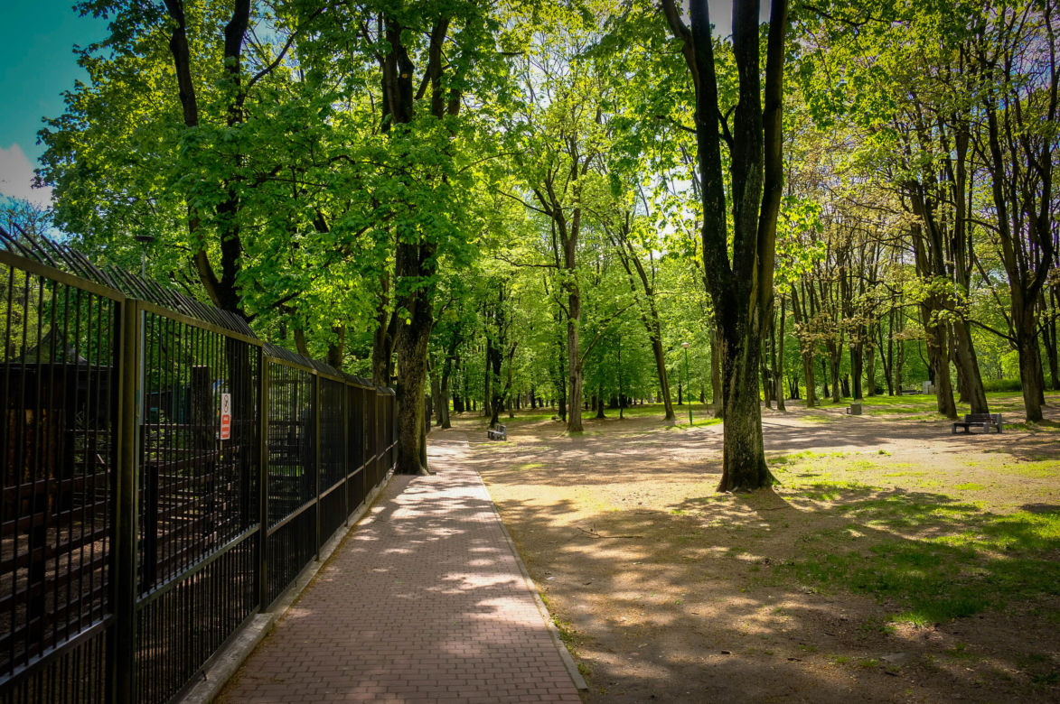 Akcent ZOO w Białymstoku
