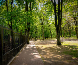 Akcent ZOO w Białymstoku