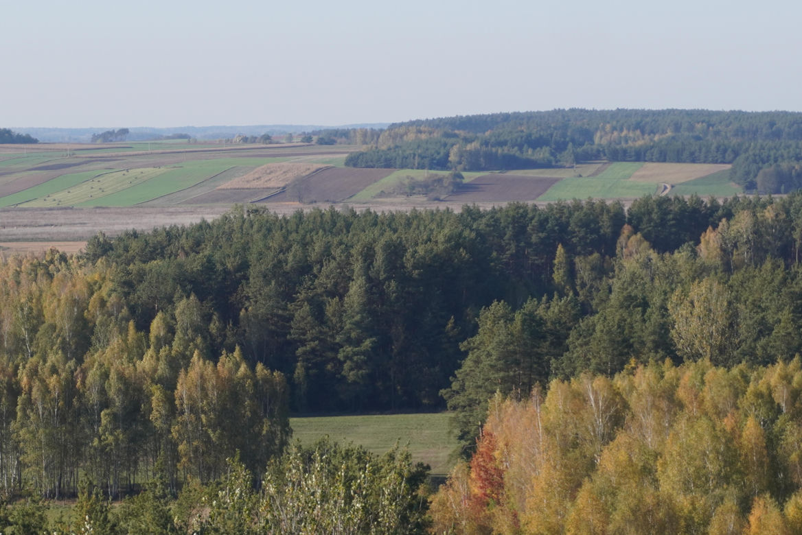 Wieża widokowa w Uhowie