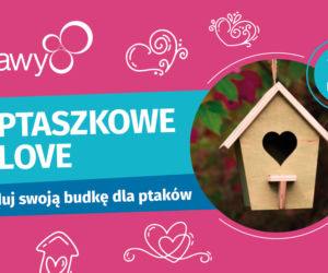 Nietypowe Walentynki w Katowicach. Mieszkańcy będą budować... budki dla ptaków [ZDJĘCIA]