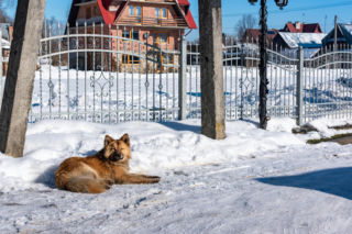 Ponad -40 stopni mrozu! Tutaj padały rekordy zimna w Polsce