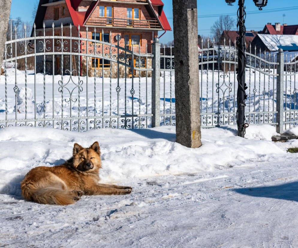 Ponad -40 stopni mrozu! Tutaj padały rekordy zimna w Polsce