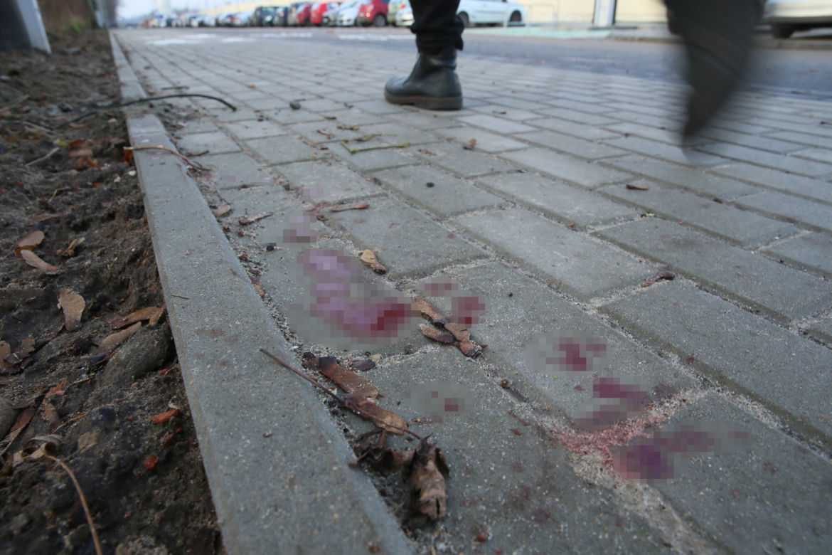 Śmiertelny napad na Żabkę w Kobyłce. Groził bronią ekspedientce, zginął od noża. Prokuratura ujawnia nowe fakty