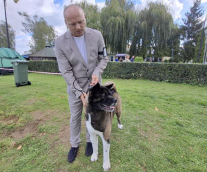 Psie piękności królują w Kaliszu