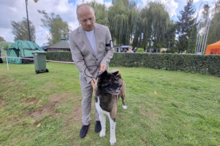 Psie piękności królują w Kaliszu