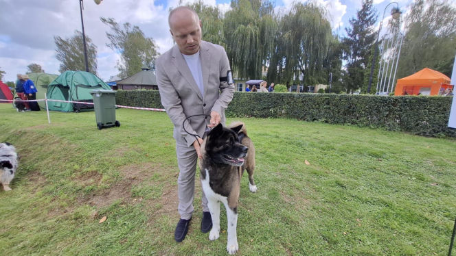 Psie piękności królują w Kaliszu