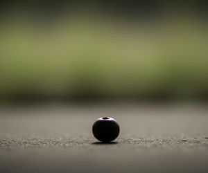 Jasnowidz Jackowski ostrzega właścicieli psów. Niewielki owoc okazał się śmiertelnym zagrożeniem.