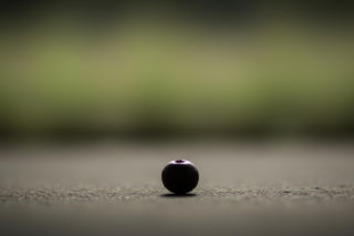 Jasnowidz Jackowski ostrzega właścicieli psów. Niewielki owoc okazał się śmiertelnym zagrożeniem.