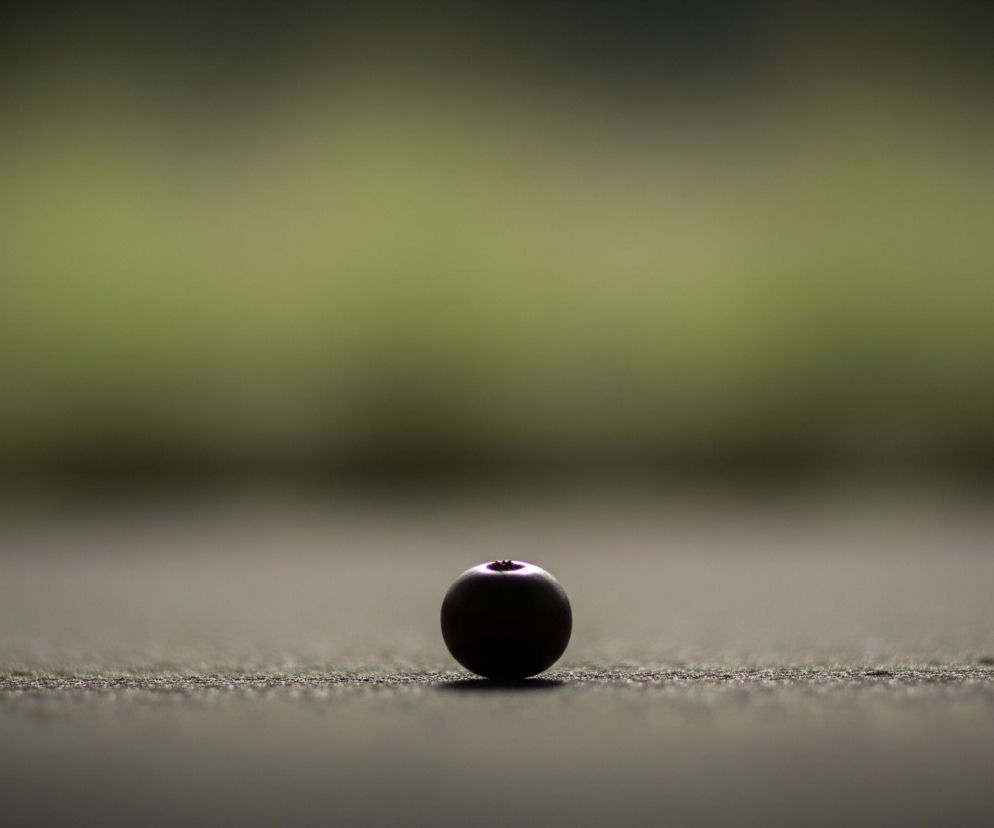 Centralnie umieszczona jest ciemna, okrągła jagoda z jaśniejszym, purpurowym akcentem na wierzchołku, leżąca na teksturowanej, ciemnej powierzchni. Powierzchnia ta rozciąga się od dołu obrazu, przechodząc w nieostre, zielonkawo-żółte tło w górnej części kadru. Obiekt jest oświetlony od tyłu, co podkreśla jego ciemny kształt i subtelne odcienie fioletu.