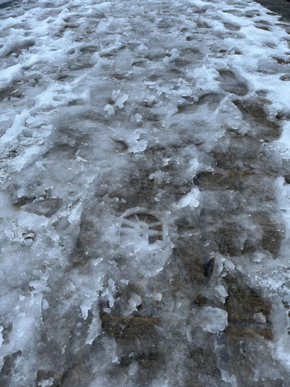 Śnieg w Szczecinie
