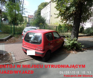 Janusze parkowania nie odpuszczają! Zobaczcie jak robią to najlepsi z nich