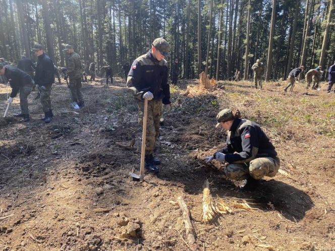 Strażnicy Graniczni sadzili drzewa z okazji 35-lecia swojej formacji