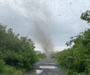 Szok! Tornado z komarów. Inwazja jakiej jeszcze nie było