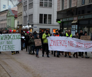 Oni mówią głosem zwierząt! Tak wygladał marsz w obronie zwierząt z Toruńskiego Schroniska [GALERIA, AUDIO]