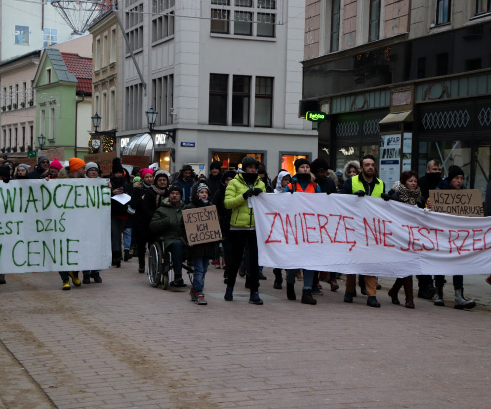 Oni mówią głosem zwierząt! Tak wygladał marsz w obronie zwierząt z Toruńskiego Schroniska [GALERIA, AUDIO]