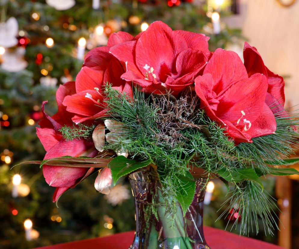 Jakie kwiaty wybrać do wazonu na świąteczny stół?