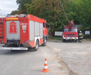 Straszna wichura przeszła przez Dolny Śląsk. Wciąż wieje!