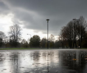 Lublin inwestuje w ogrody deszczowe