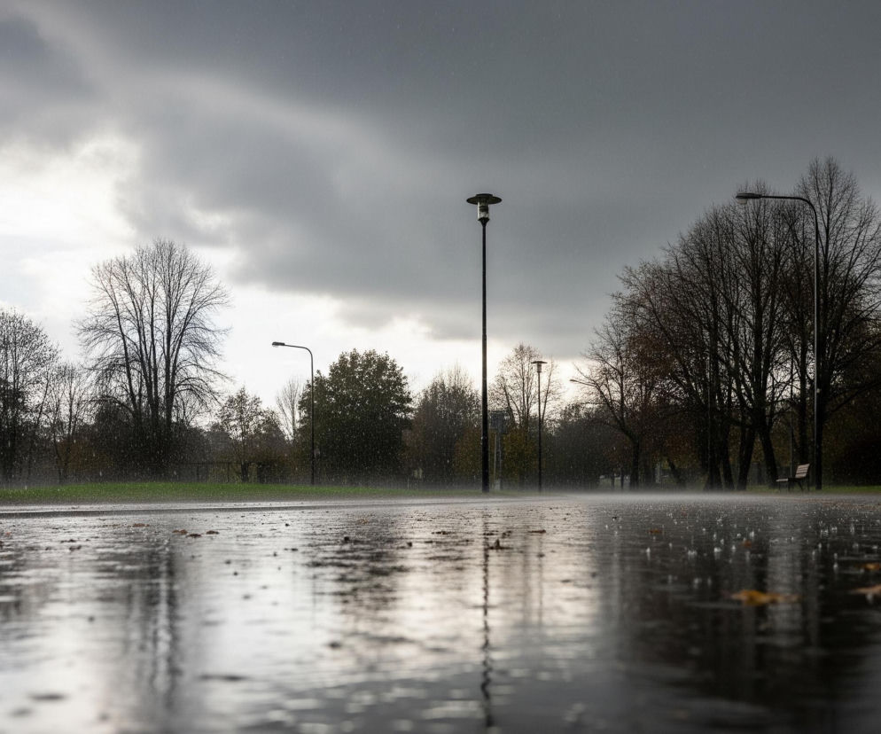 Mokra, ciemnoszara nawierzchnia pokrywa dolną część obrazu, odbijając otoczenie i tworząc liczne refleksy świetlne od padającego deszczu. Powierzchnia ta, prawdopodobnie droga lub chodnik, rozciąga się w głąb obrazu, a na pierwszym planie widoczne są pojedyncze, opadłe liście. Deszcz widoczny jest jako drobne, jasne punkciki na tle drzew i ciemniejszych chmur. W tle wznoszą się bezlistne drzewa o ciemnych gałęziach, niektóre z nich mają jeszcze resztki liści o brązowych i żółtych odcieniach, a pomiędzy nimi rozmieszczone są latarnie uliczne. Niebo jest częściowo jasne i zachmurzone po lewej stronie, przechodząc w ciemne, burzowe chmury w prawej górnej części.