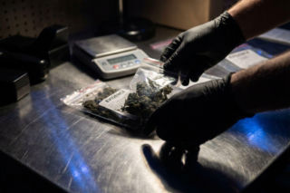 Zatrzymania narkotykowe w Warszawie. 20 osób w rękach policji