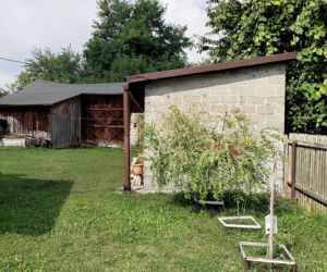 Ruszył proces cioci Jacka Jaworka. Śledczy: ukrywała trzykrotnego zabójcę