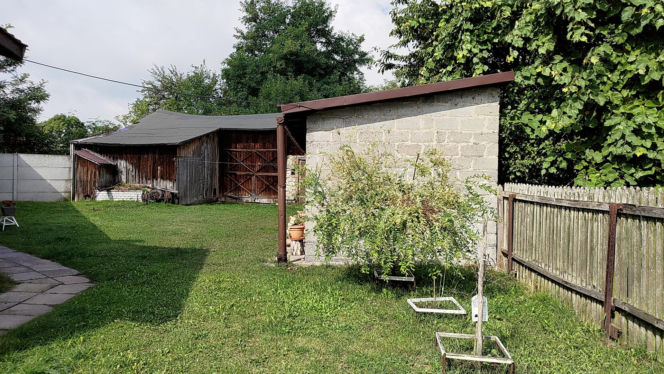 Ruszył proces cioci Jacka Jaworka. Śledczy: ukrywała trzykrotnego zabójcę