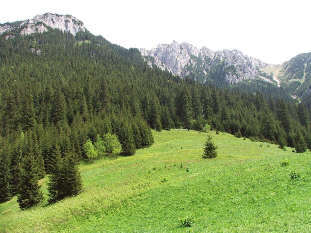 6. Jaskinia Czarna