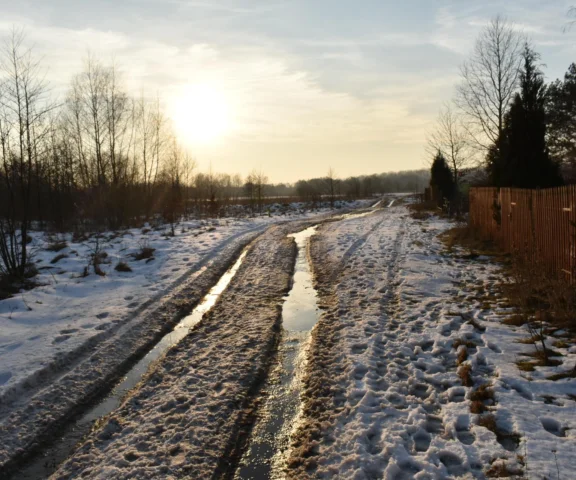 Antycyklon namiesza w pogodzie. Wiosna w grudniu to rzadkie zjawisko