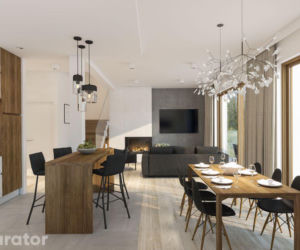 Salon z kuchnią
