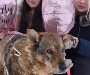 Walentynkowa akcja Torcida Girls. Dziewczyny wspierają bezdomne zwierzęta ze schroniska [ZDJĘCIA]