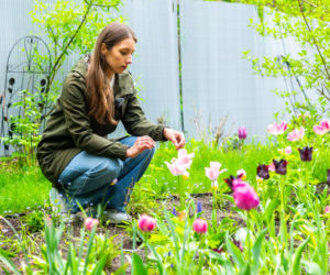 Murator Ogroduje, realizacje