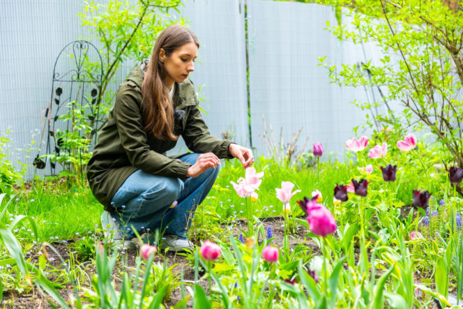 Murator Ogroduje, realizacje