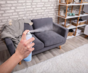 Wyrzuć je z domu, jeśli często boli cię głowa. Eksperci ostrzegają przed ukrytą toksyną